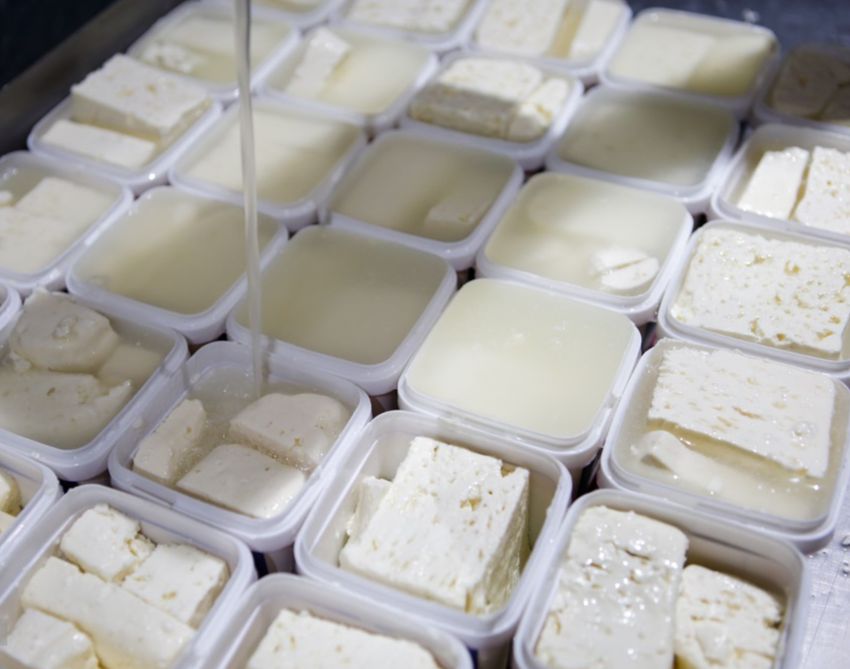 Blocks of white Lighvan cheese resting in tubs of cloudy brine