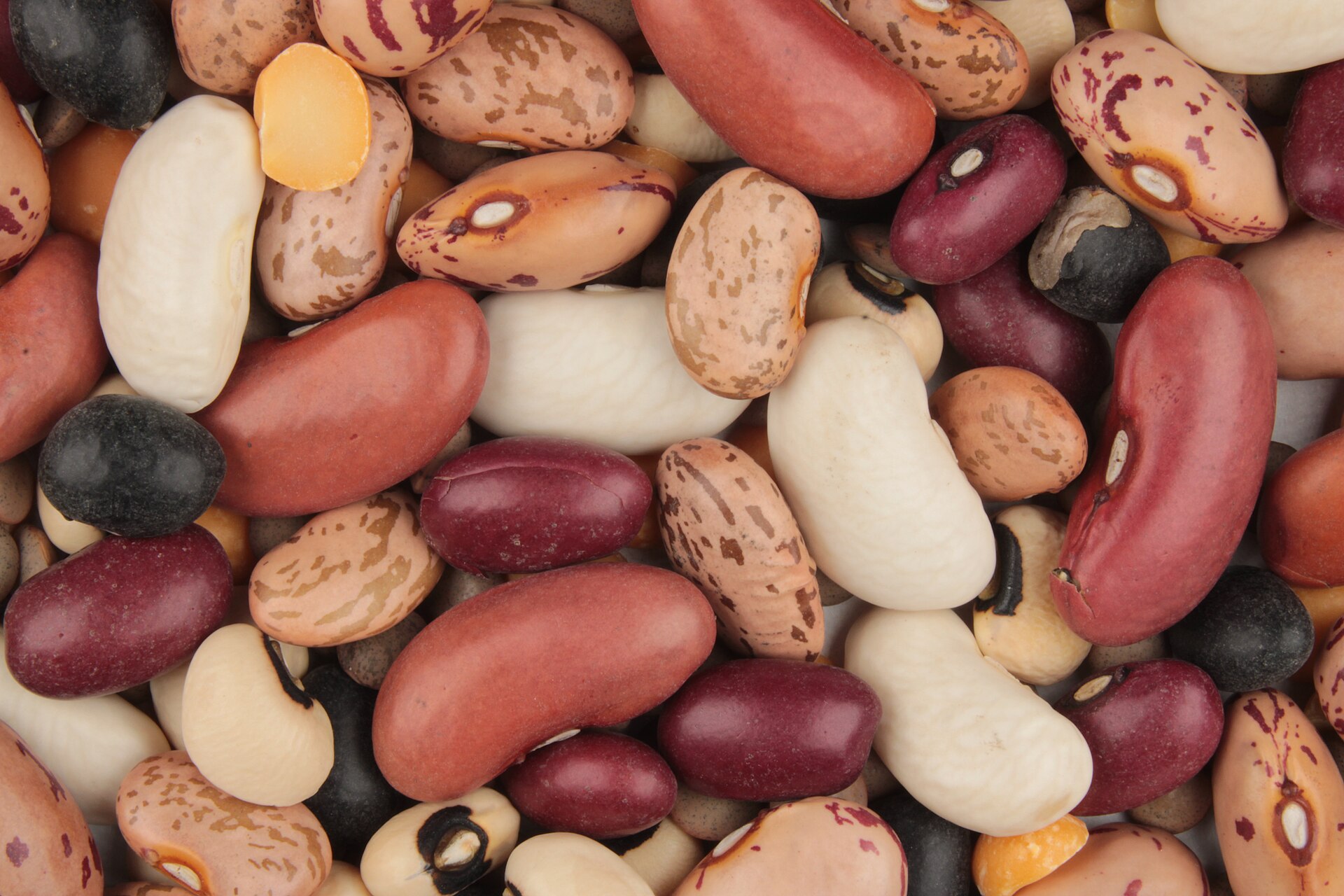 Beans